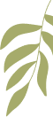 A simple graphic of a light green fern leaf with multiple leaflets on a dark green background.